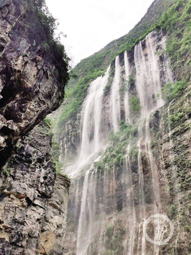 它是天然“阿司匹林”,专清血管垃圾,软化血管,悄悄逼走血栓
